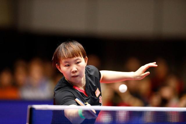 主帅安切洛 主帅安切洛