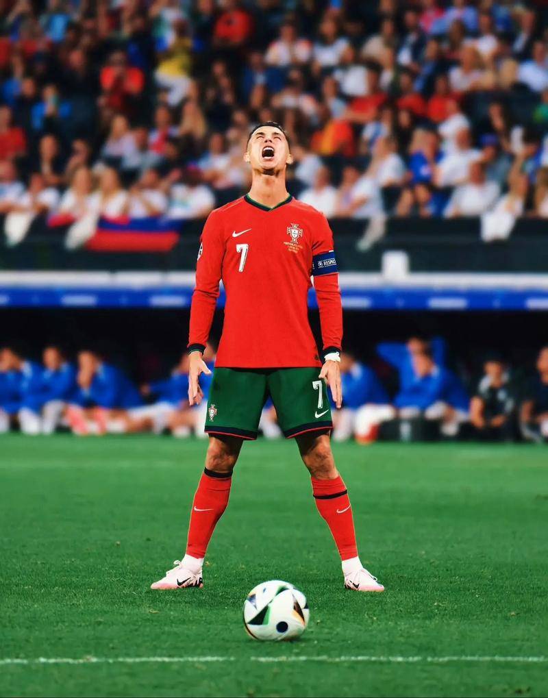 他们通过引 他们通过引