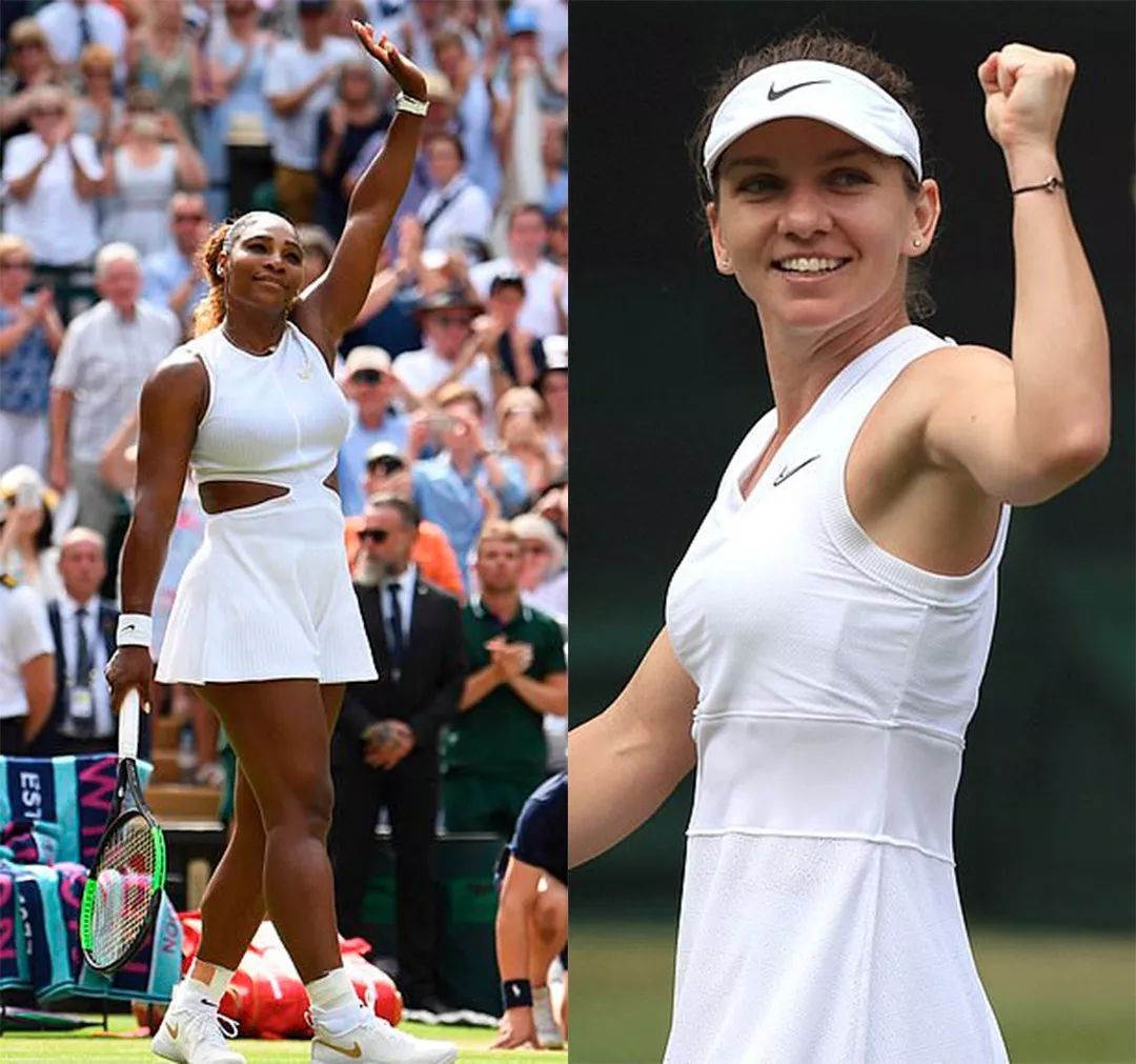 情的运动 情的运动