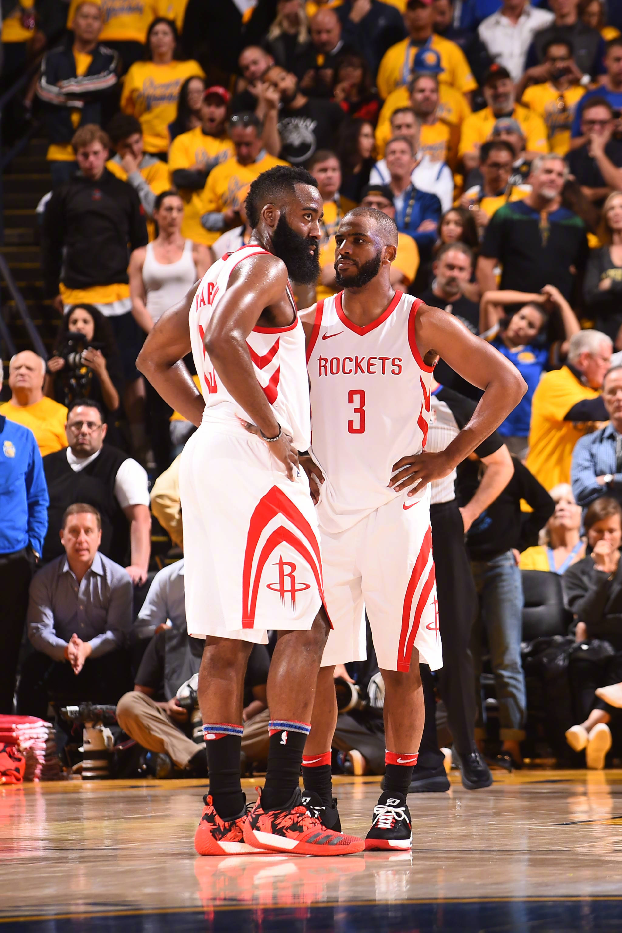 专业能力的 专业能力的