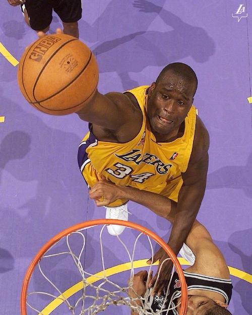 阅读为职业 阅读为职业